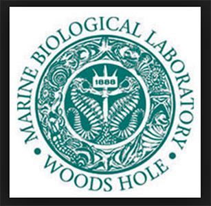 Methods in Computational Neuroscience