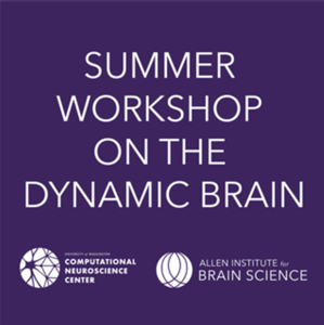 dynamic brain