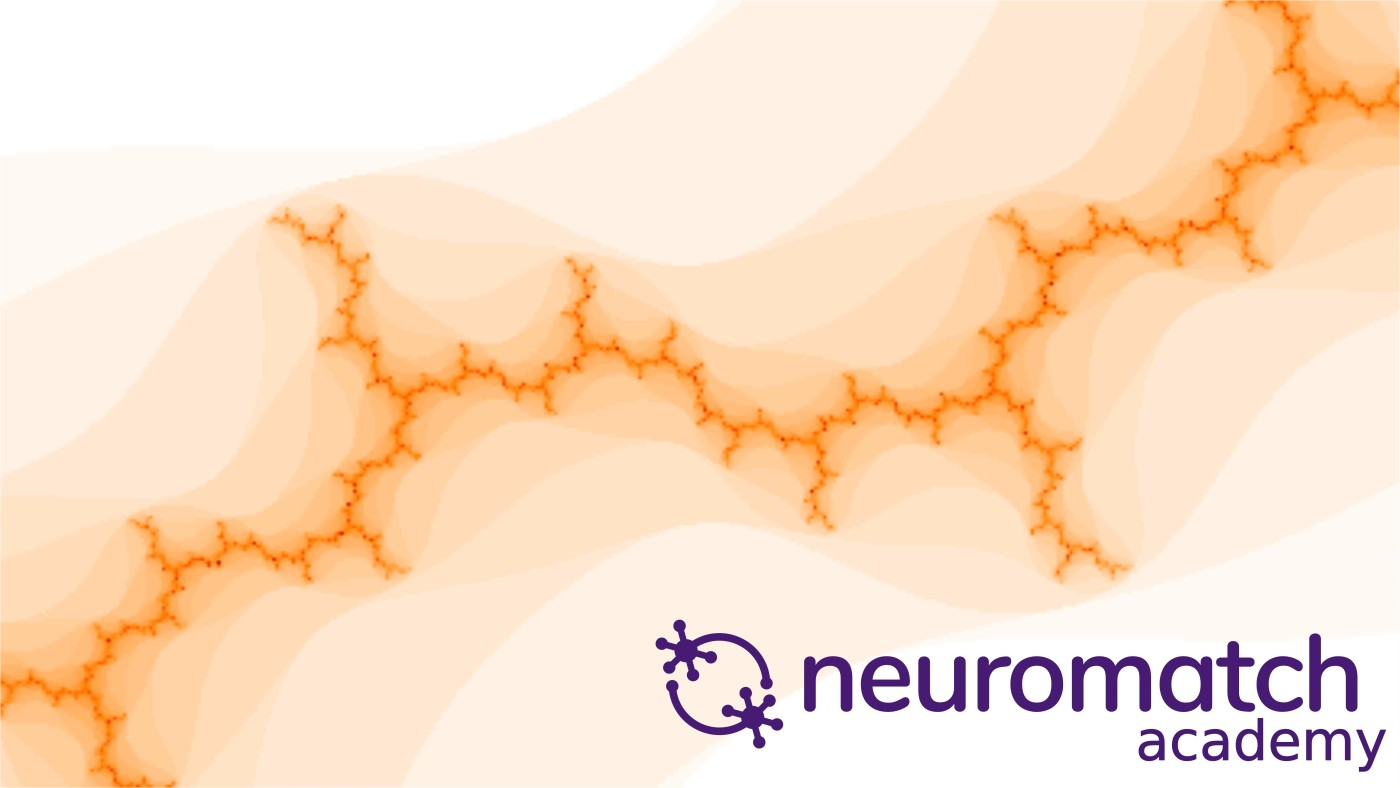 Neuromatch Academy