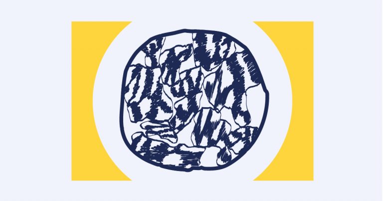 Spotlight illustration for SFARI.