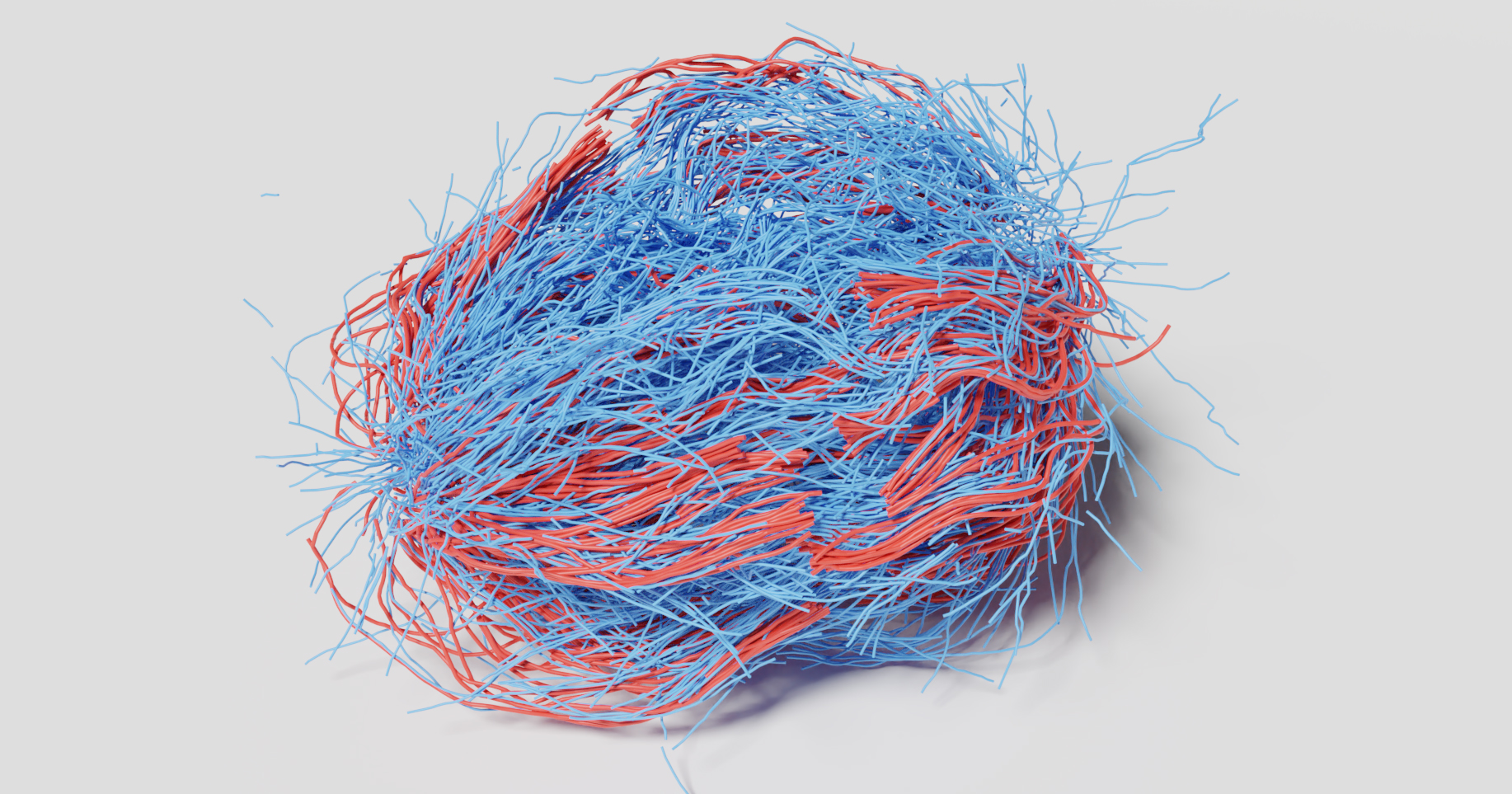 The Machinery That Helps Divide Your Cells Self-Organizes Like an Active Liquid Crystal
