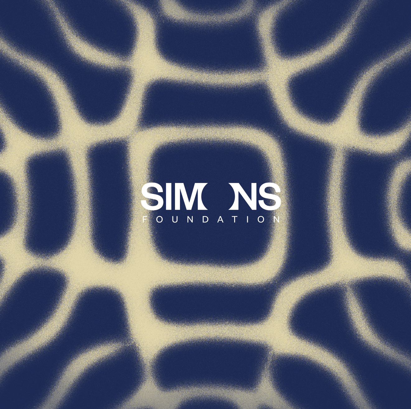 A pattern from Chladni plates with the Simons Foundation logo on top